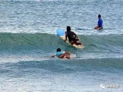 探索伏地魔能和林黛玉组CP,你见过哪些奇怪的CP?,发现无限可能!