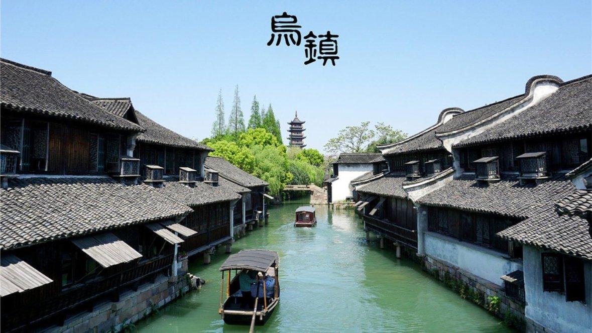 动物帮帮忙保卫家园